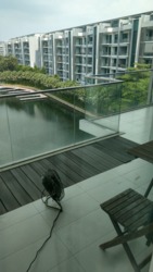 The Residences at W Singapore Sentosa Cove (D4), Condominium #177765752